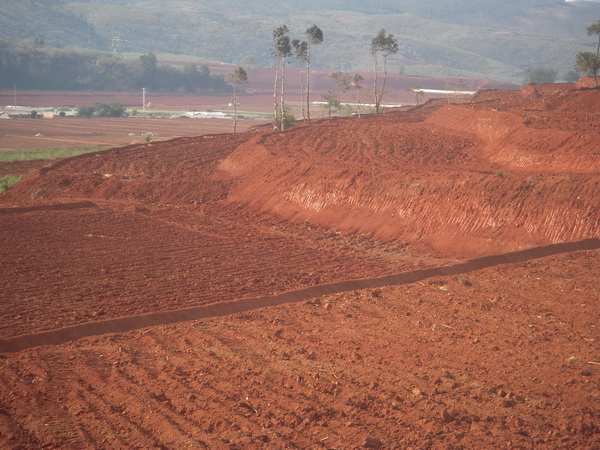 云南盛翔----------開遠市羊街鄉(xiāng)古城片區(qū)、小龍?zhí)舵?zhèn)綠差沖村、樂白道辦事處阿德邑土地整理開發(fā)（補充耕地）項目