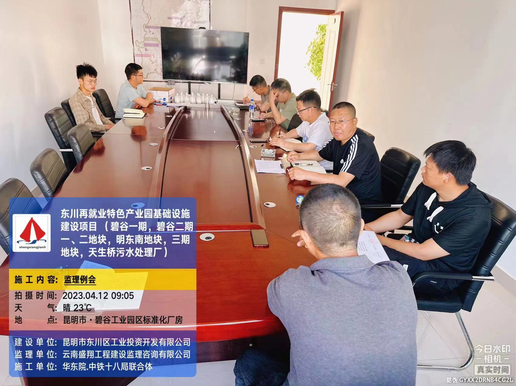 東川再就業(yè)特色產(chǎn)業(yè)園基礎設施建設項目（EPC）