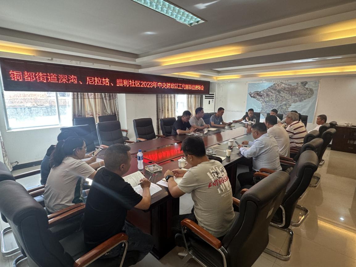 東川區(qū)銅都街道深溝、尼拉姑、臘利社區(qū) 2023年中央財政以工代賑項目