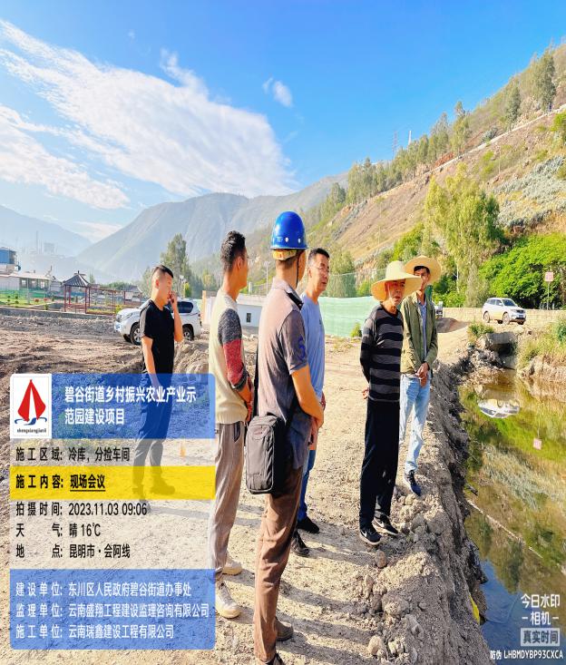 碧谷街道鄉(xiāng)村振興現(xiàn)代農業(yè)產業(yè)示范園 建設項目（房建工程）