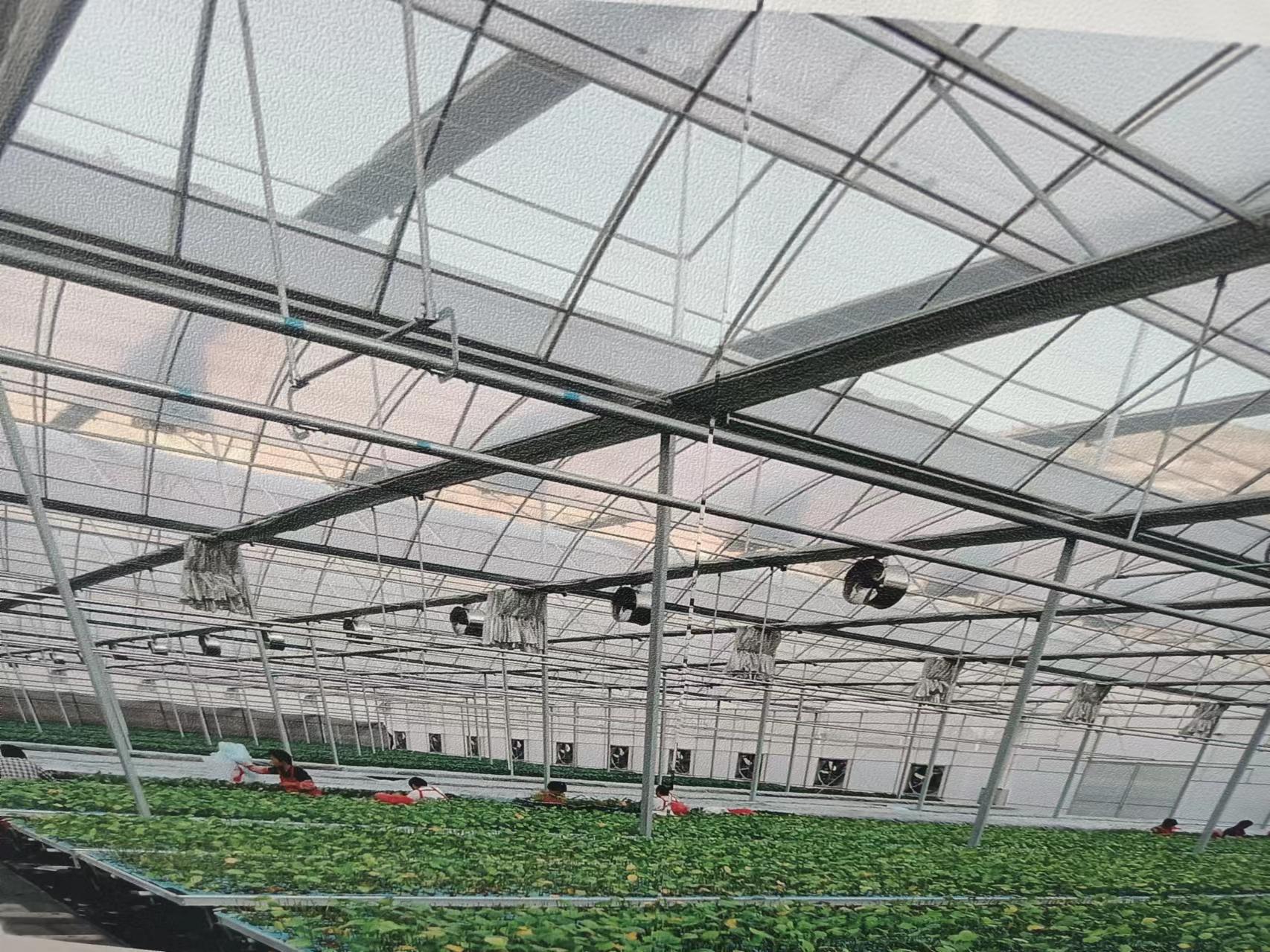 銅都街道炎山、深溝社區(qū)果蔬產(chǎn)業(yè)園建設(shè)項(xiàng)目