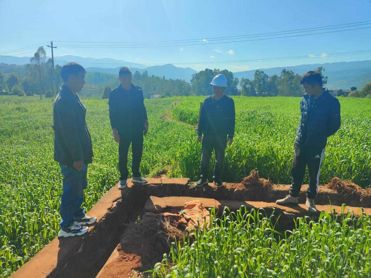 2024年度東川區(qū)高標準農田改造提升建設項目